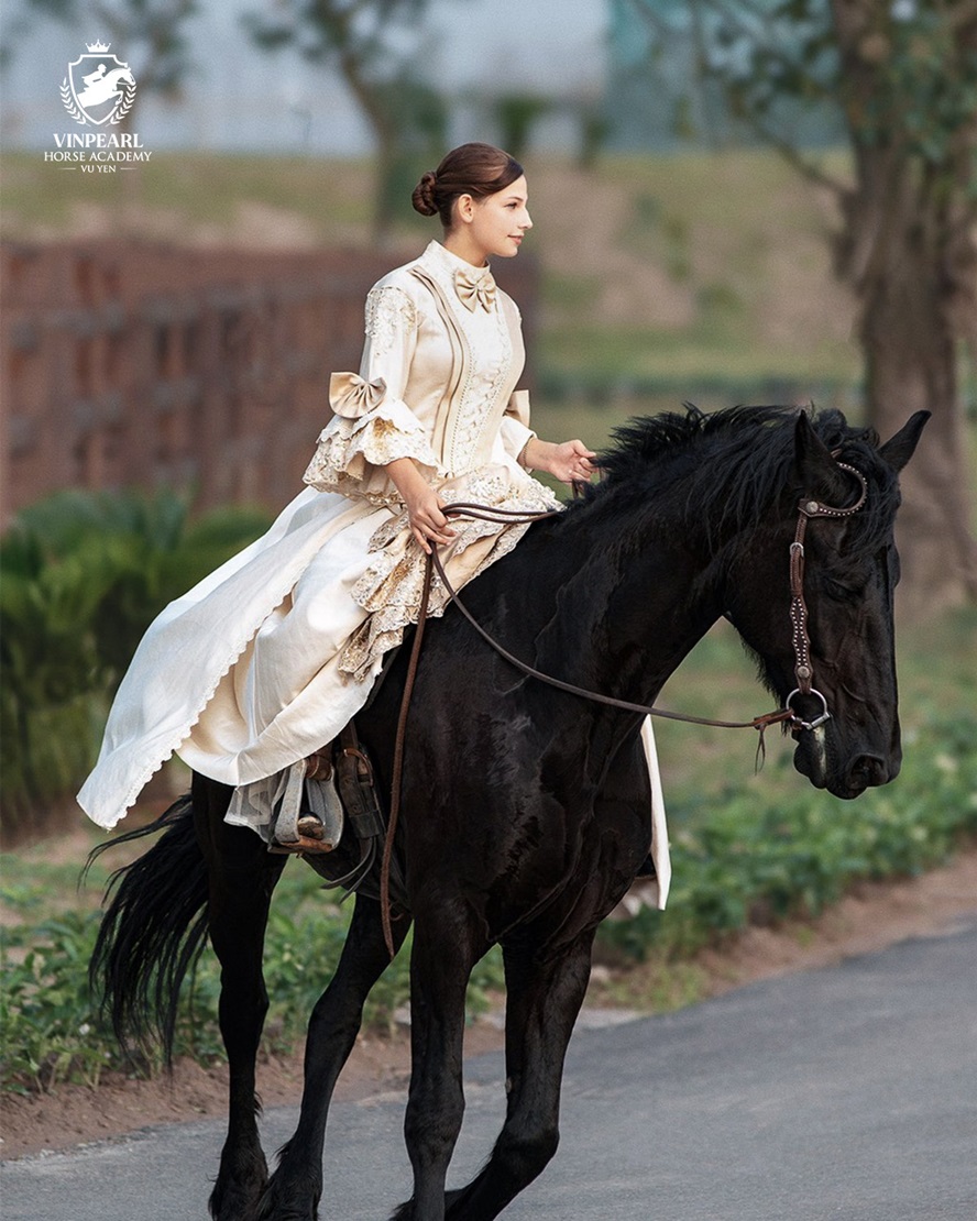 Vinpearl Horse Academy Vũ Yên 